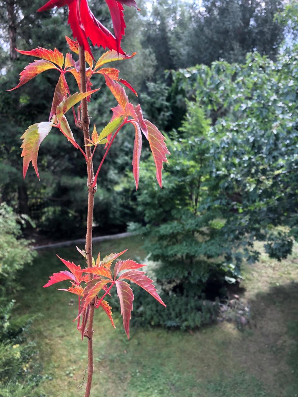 A Place Like Home Apartamenty Wiewiorcza グダニスク エクステリア 写真